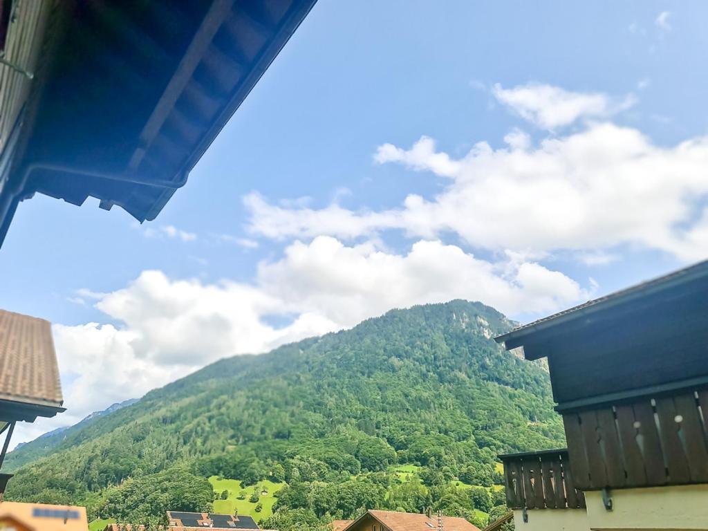 Sofia Apartment - Aare Jungfrau Ag Wilderswil Esterno foto